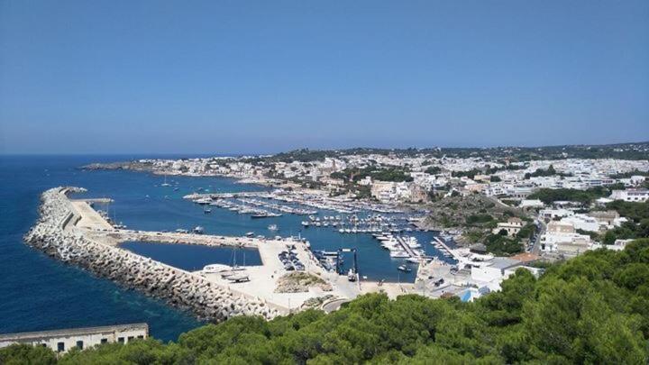 Masseria Berzario メレンドゥーニョ エクステリア 写真